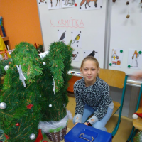 IMG_20191128_150553.jpg