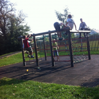 159450485img3482