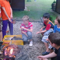 16233981220090630094751