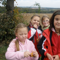 16592952220090311074324