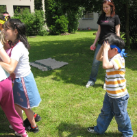 17447554320080530165959