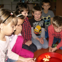 182199934snv19137-web