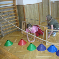 182969262img7058