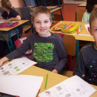 185317673zelenina-254