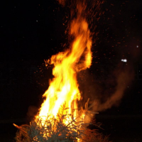 201211986p4194072