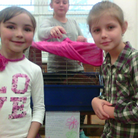 207231368photo0075