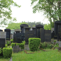 208731670img0827