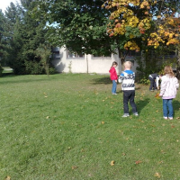 214812440kam-se-jezek-v-zime-schova-15