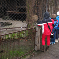 216889252zoo-17