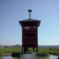 219236141cam00843
