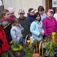 22598926zelenina-300