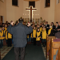 22980397320090115134110