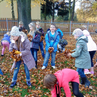 230241753cfotkyi-023