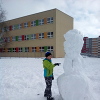 231306471img20170202102444
