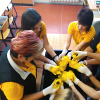 233239868img20160922143113