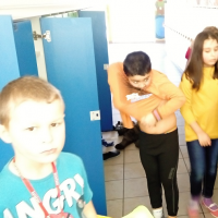 234313336img20160122094311