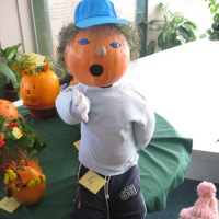 23539588320081006113754