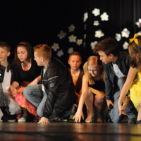 237665804akademie-7c-10