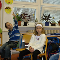 239312244snv18985-web