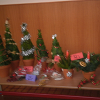 242884714pc090001