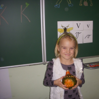 24461342006