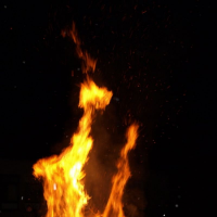 24569722p4194075