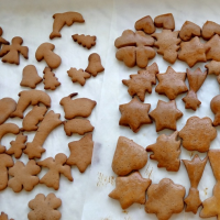 246128917img20161110101546