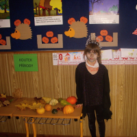 249713385dscn3655