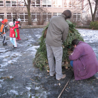 2525588820080110175905