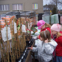 256288799zelenina-291