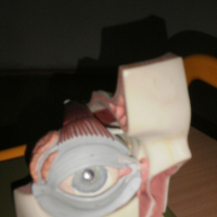 2571738p1130039