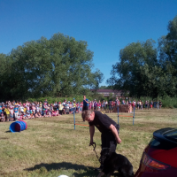 259501293img20170601091647