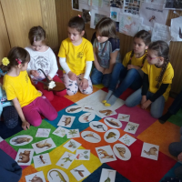 260734630img20161110081516burst001cover