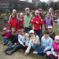 263845684zelenina-321