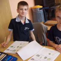 268276226zelenina-257