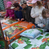 270140237zelenina-289