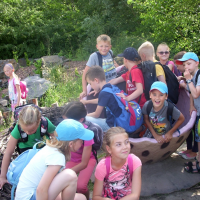 27071954dscn3233