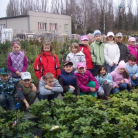 27216335zelenina-277