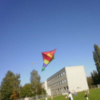 2730803p9230005