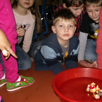279311382snv19142-web