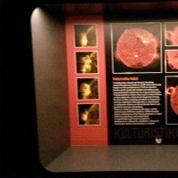 3128626185cplanetarium044