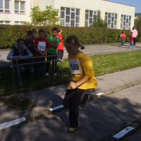 316145278vsetin2010-001-8