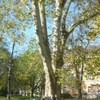 321540301web-p1080249