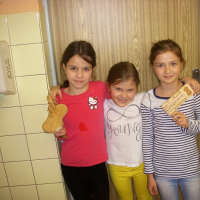 32695358620150401-dscn2555