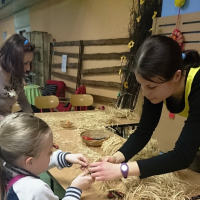 3284935420150320-dsc0230