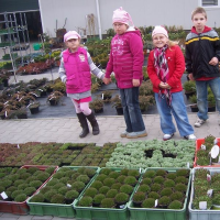 330447703zelenina-283