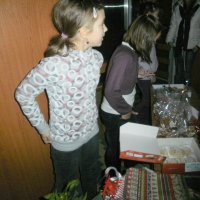 336388335pb280032
