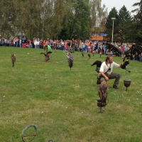 339459444img0219