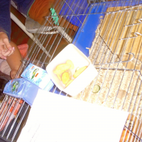 339852214dscn2975