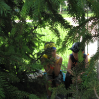 34554625420080530170045